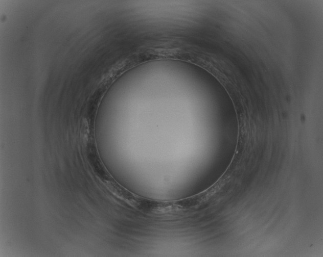 X0000074290752200608250927