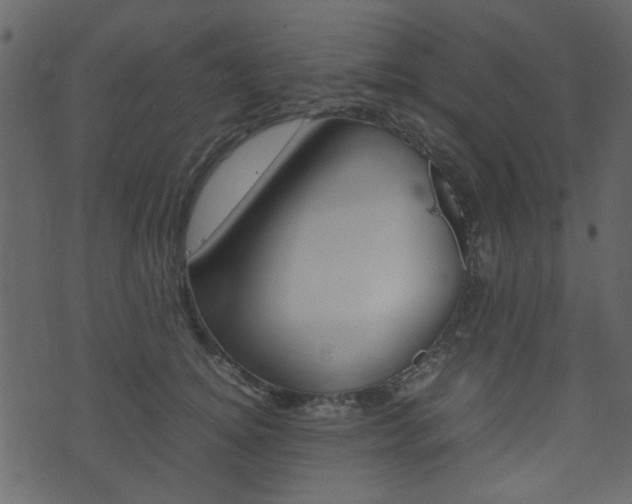 X0000074290756200608250927