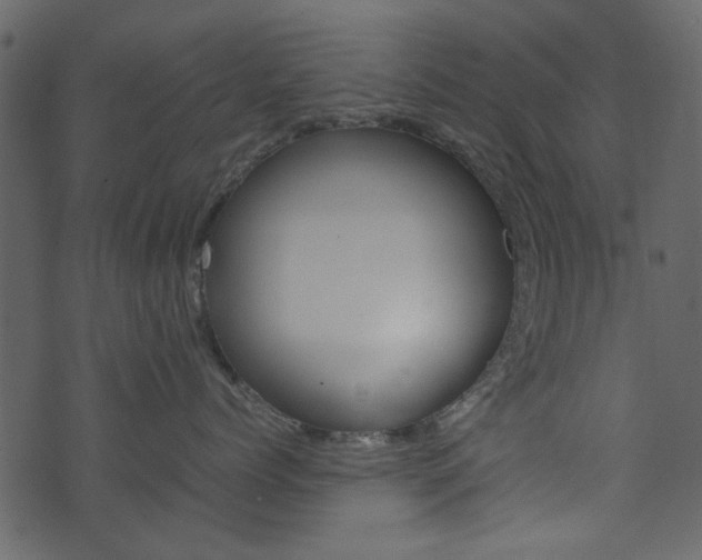 X0000074290768200608250927