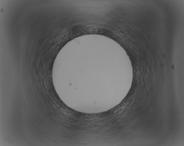 X0000074290769200608250926