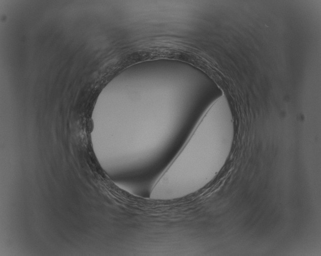 X0000074290771200608250926