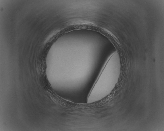 X0000074290775200608250926
