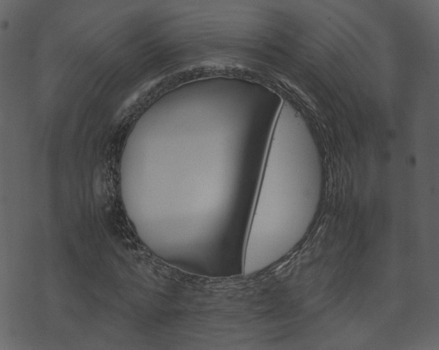 X0000074290776200608250926