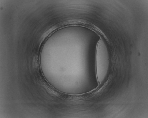 X0000074290786200608250926