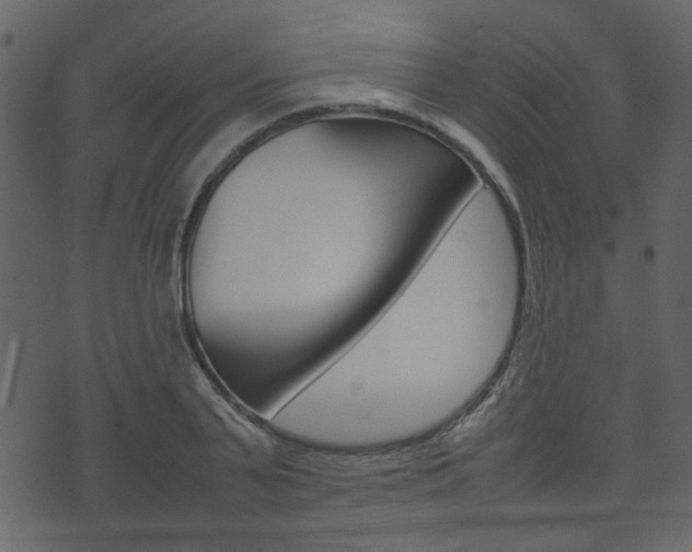 X0000074290791200608250926