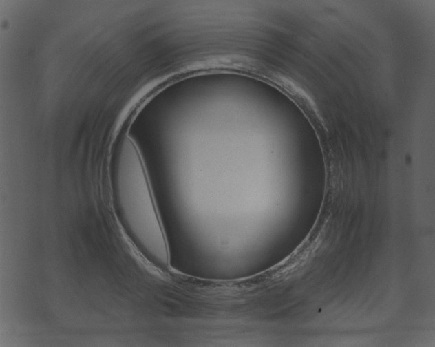 X0000074290792200608250926