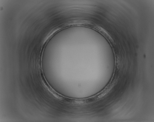 X0000074290794200608250926