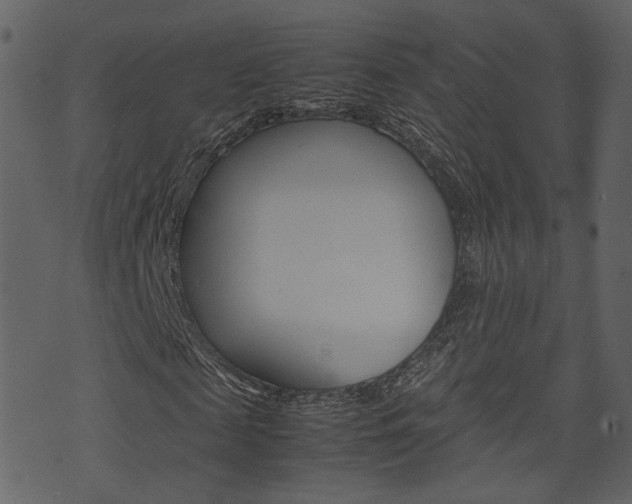 X0000074290817200608250925
