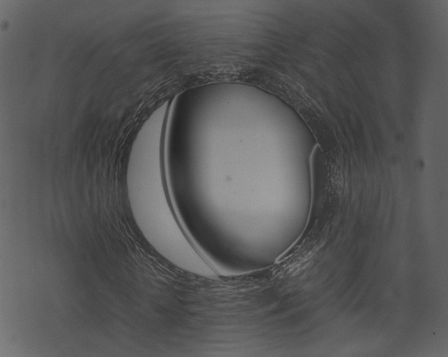 X0000074290818200608250925