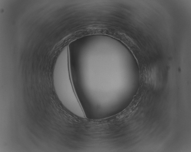 X0000074290821200608250925