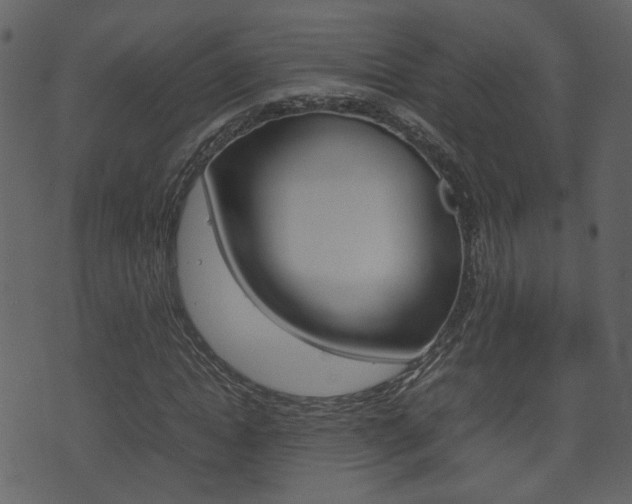 X0000074290822200608250925