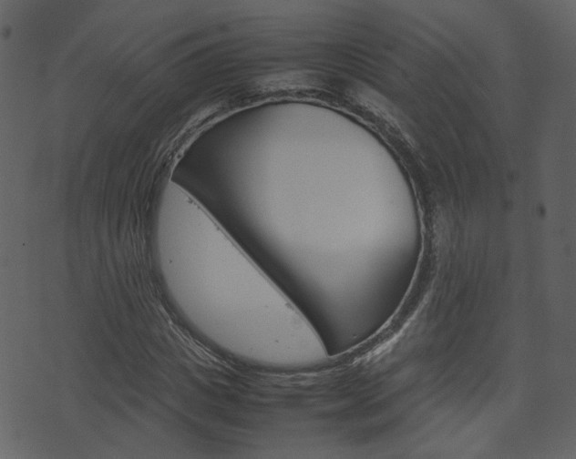 X0000074290825200608250925