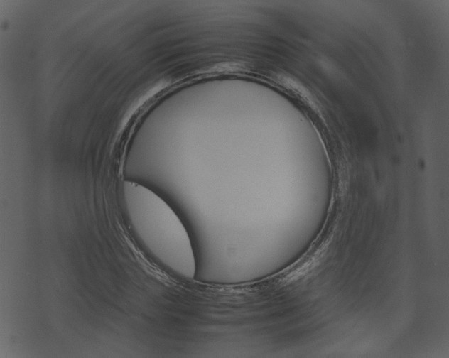 X0000074290827200608250925