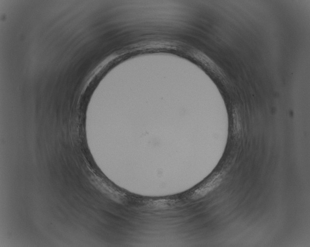 X0000074290828200608250925