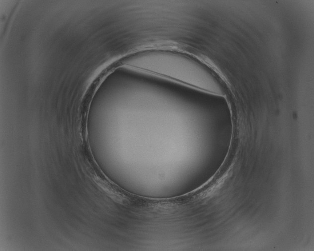 X0000074290830200608250925