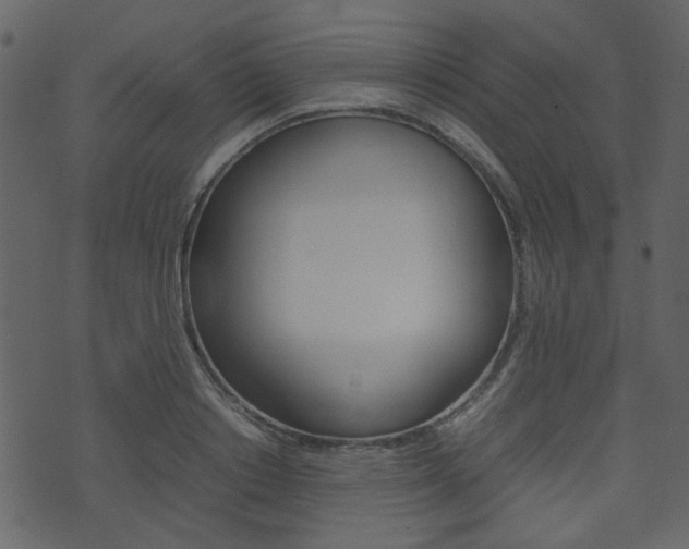 X0000074290842200608250925