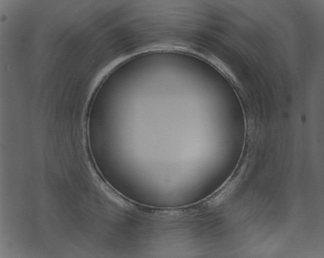 X0000074290854200608250925