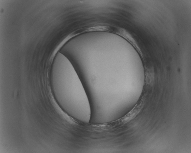 X0000074290859200608250925