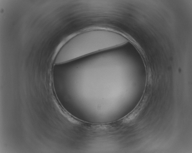 X0000074290862200608250925
