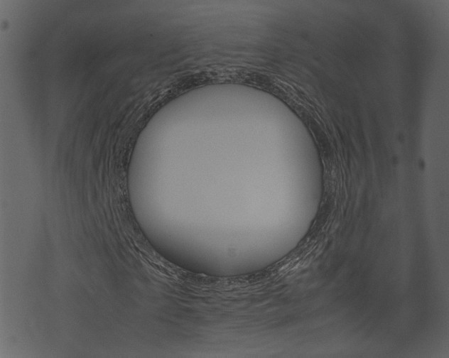 X0000074290865200608250925