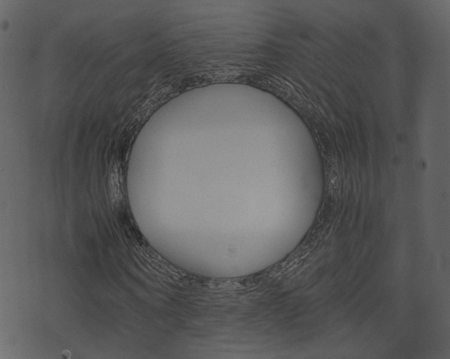 X0000074290866200608250925
