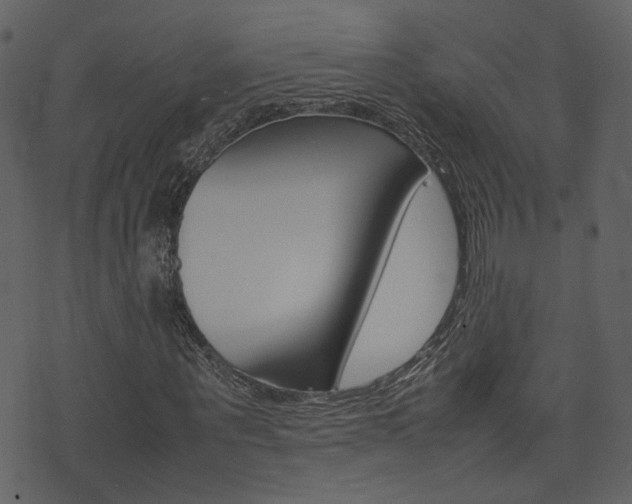 X0000074290867200608250925