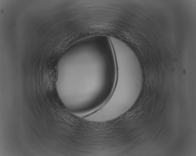 X0000074290868200608250925