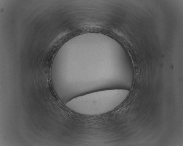 X0000074290870200608250925