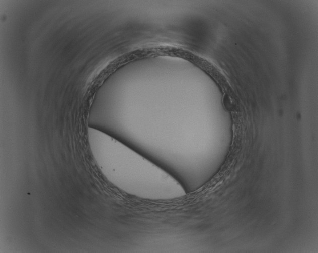 X0000074290871200608250925