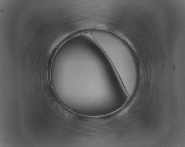 X0000074290877200608250924