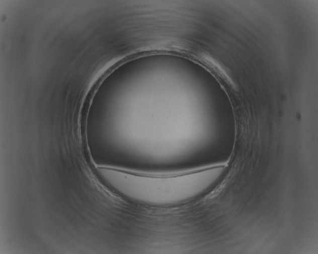 X0000074290884200608250924
