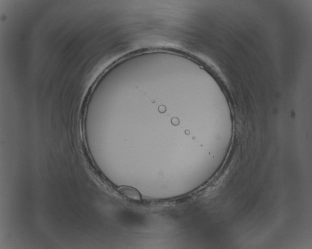 X0000074290887200608250924