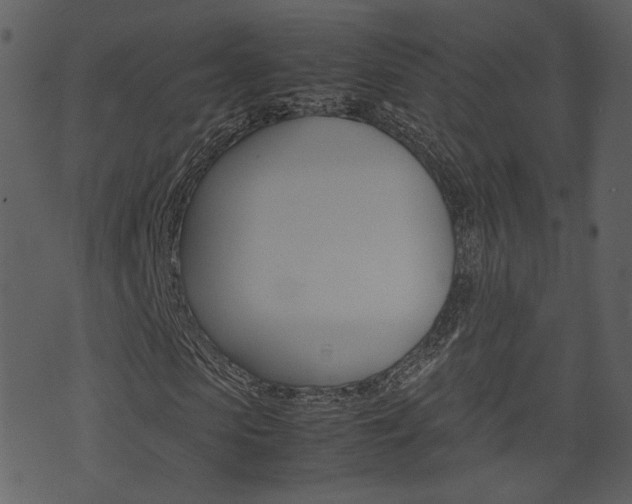 X0000074290913200608250923