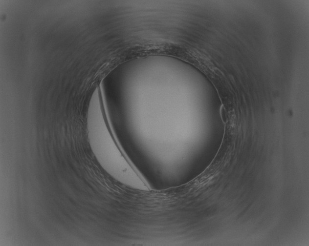 X0000074290916200608250923
