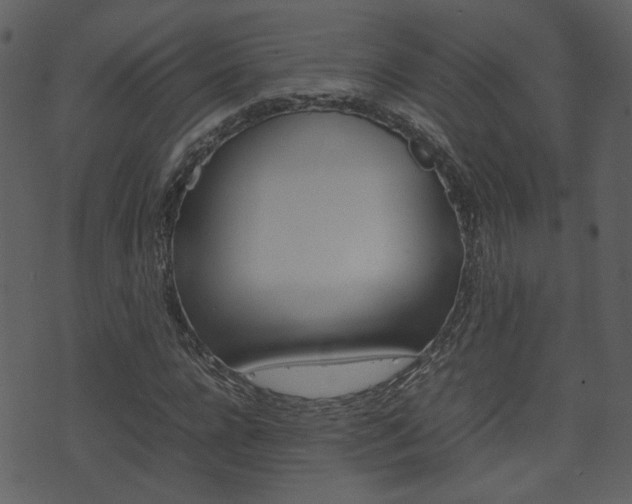 X0000074290920200608250923