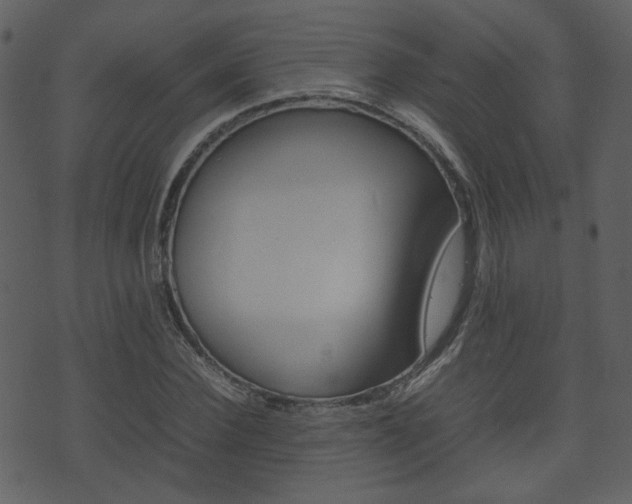X0000074290924200608250923