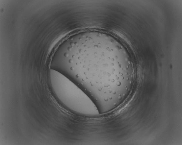 X0000074290925200608250923