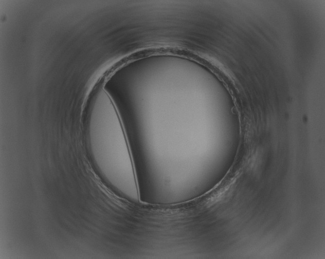 X0000074290927200608250923