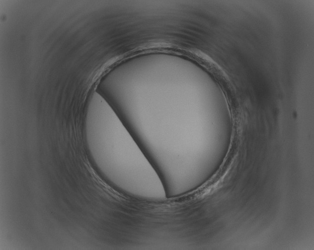 X0000074290929200608250923
