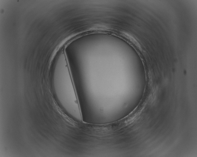 X0000074290931200608250923