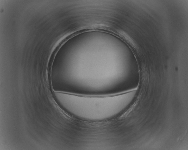 X0000074290932200608250923