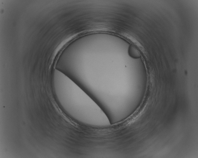 X0000074290933200608250923