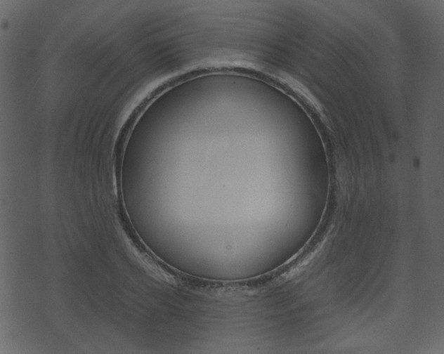 X0000074290934200608250923