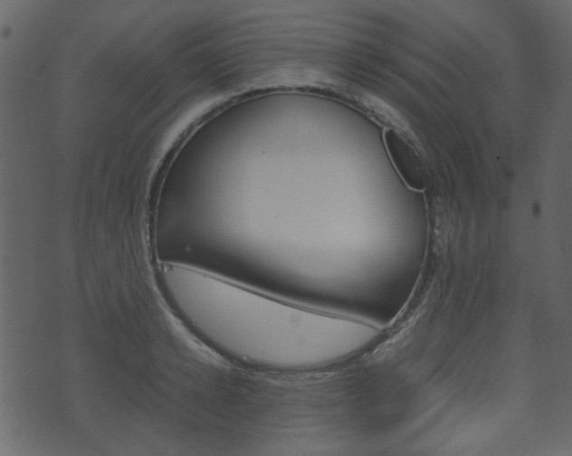 X0000074290942200608250924