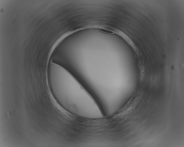 X0000074290955200608250924