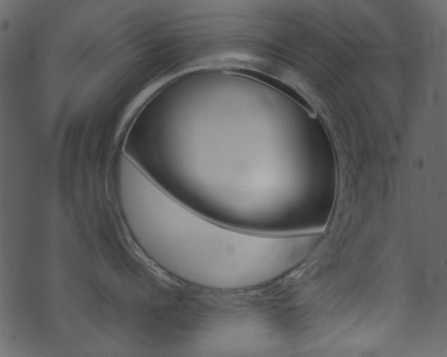 X0000074290960200608250924