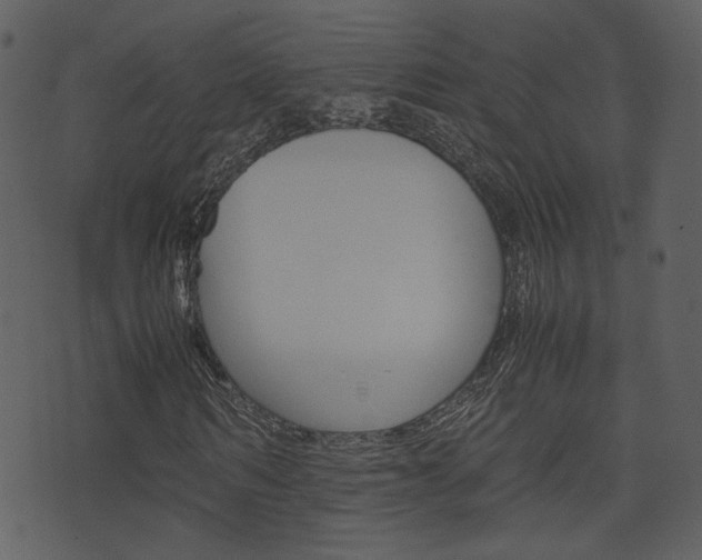 X0000074290962200608250923