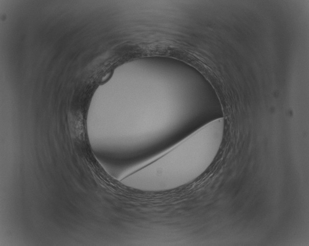 X0000074290963200608250923