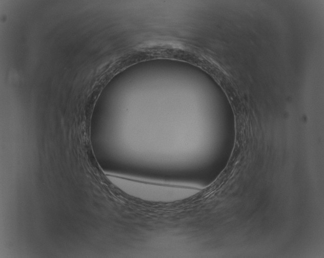 X0000074290965200608250923