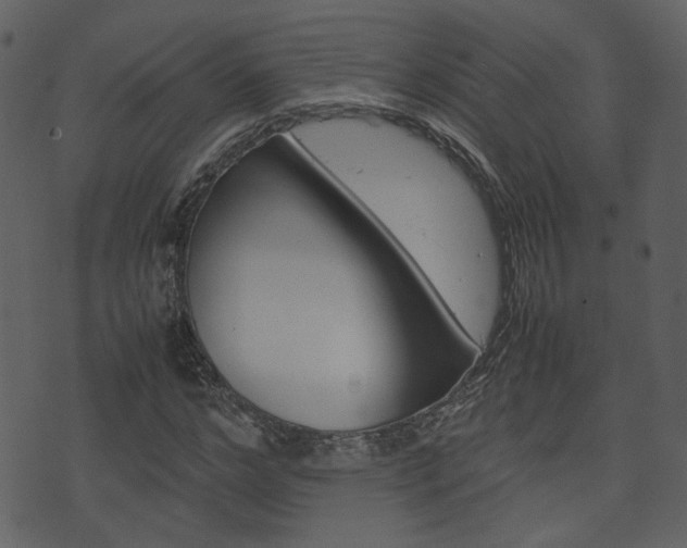 X0000074290968200608250923